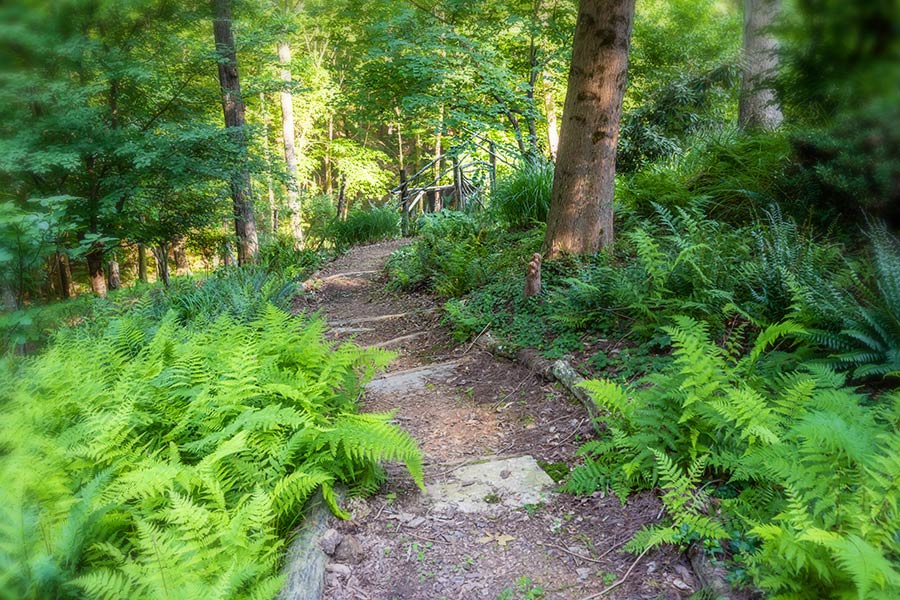 trails at Bent Creek Lodge