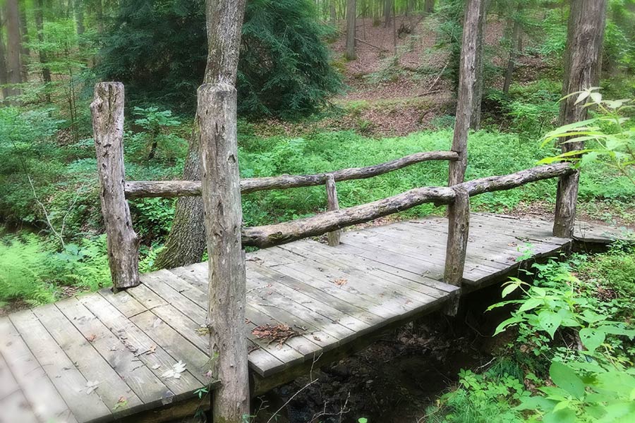 trails and bridge