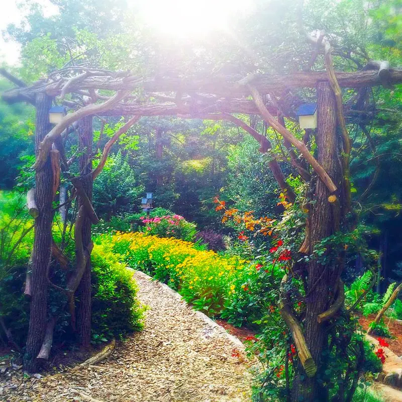 arbor at Blue Ridge Parkway Wedding
