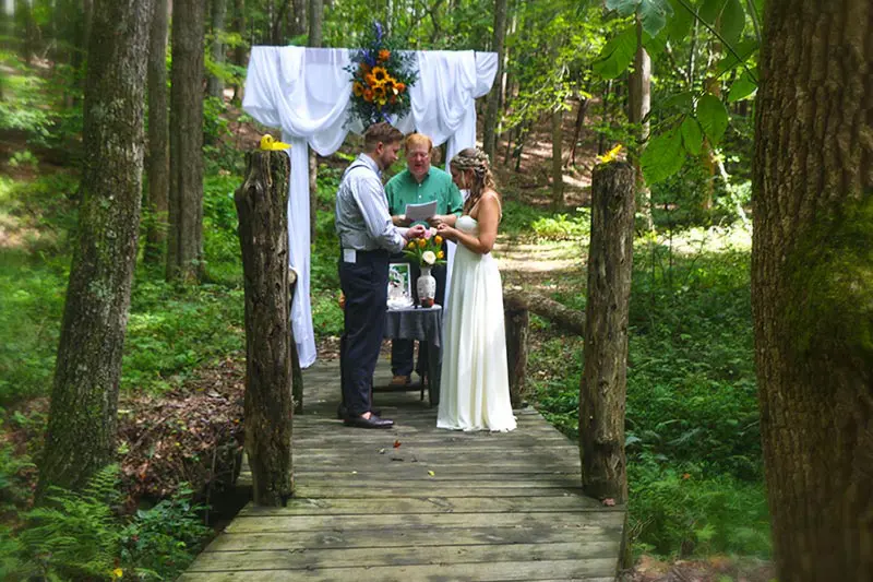 Blue Ridge Parkway Wedding couple