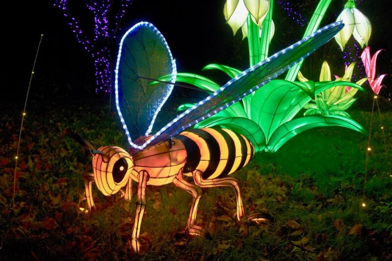 Celebrate New Year&#039;s Eve in Asheville at Bent Creek Lodge!