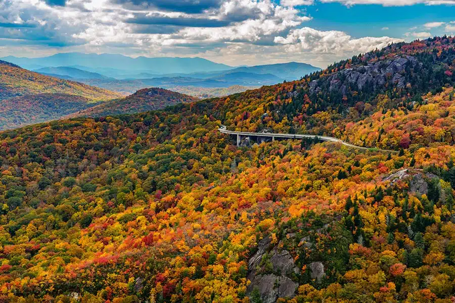 asheville fall