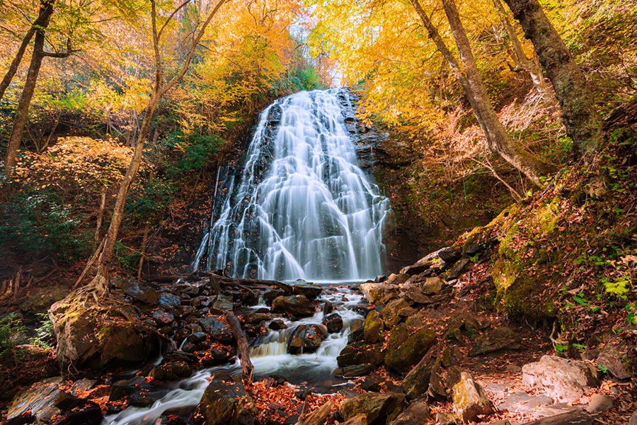 Fall foliage surrounding a waterfall