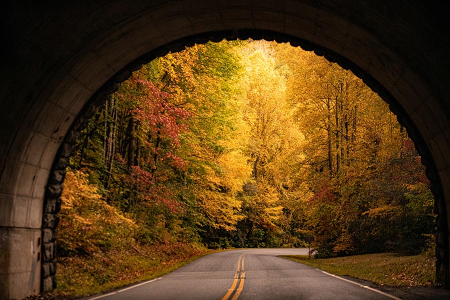 Fall foliage as seen from inside a tunnel