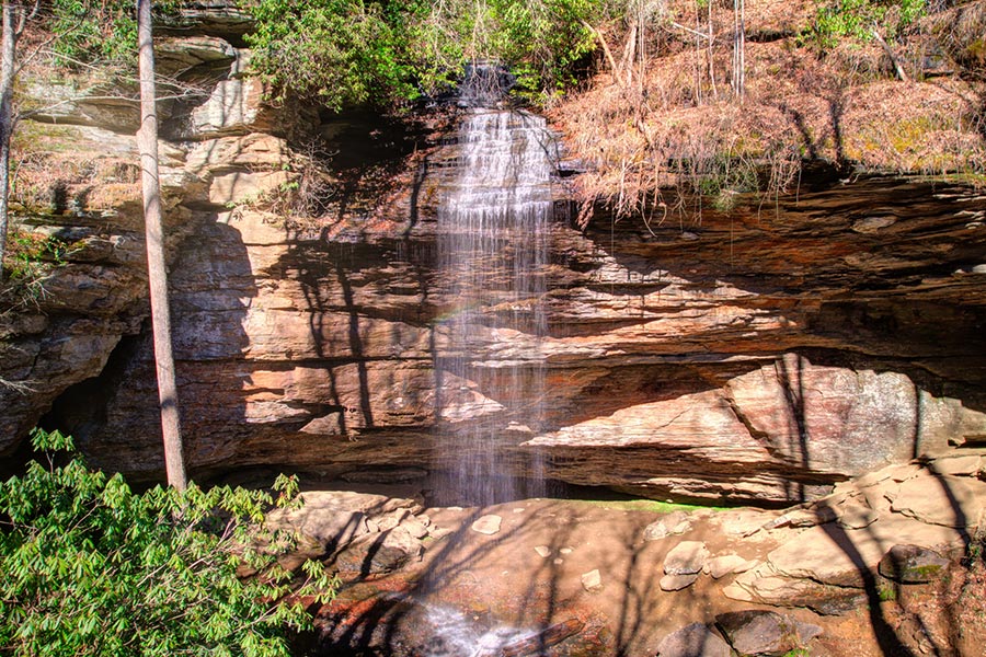 Moore Cove Falls