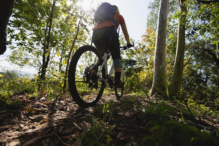 Hiking and mountain biking trails near Asheville NC