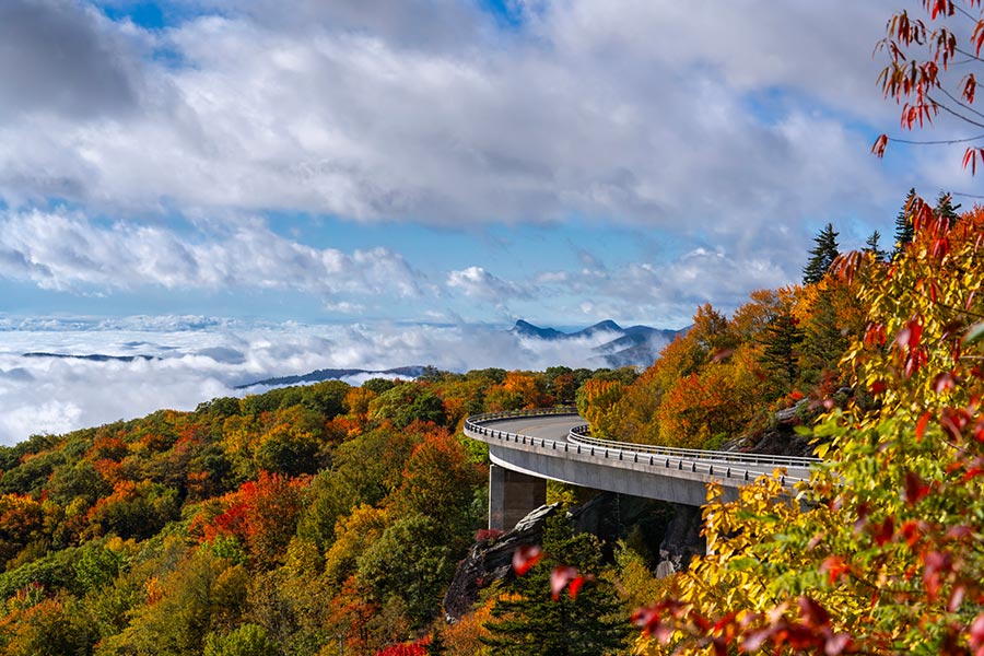 Biltmore Championship Asheville Getaway
